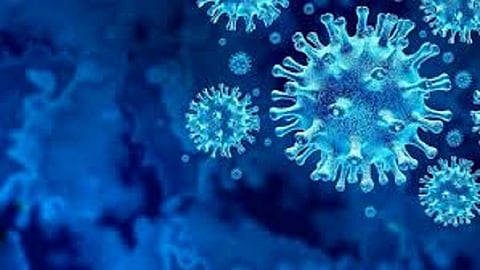 872 new corona patients found in nashik marathi news