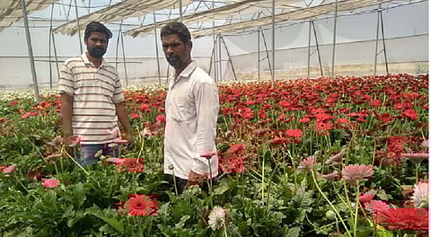 महाराष्ट्रातील इतर बातम्या बाचण्यासाठी - क्लिक करा