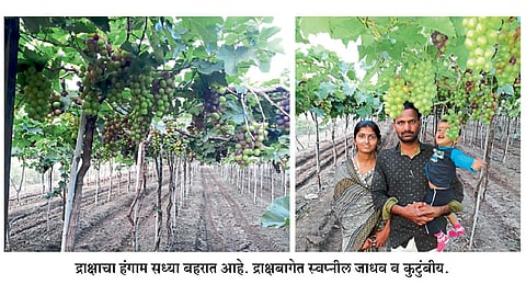 अर्थकारण सुधारणारी तरुणाची एकात्मिक शेती पद्धती