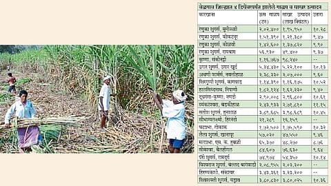 ऊस गाळप घटले; उताराही कमी