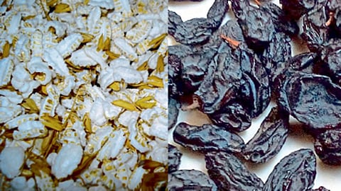 अम्लपित्त-पथ्यापथ्य