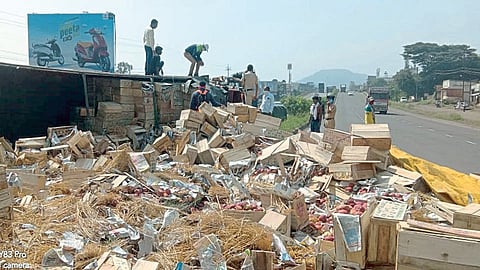 सातारा : दोघांना वाचवण्याऐवजी लोकांचा सफरचंदांवर डल्ला
