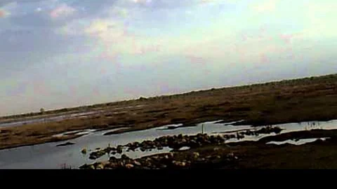 anajani river