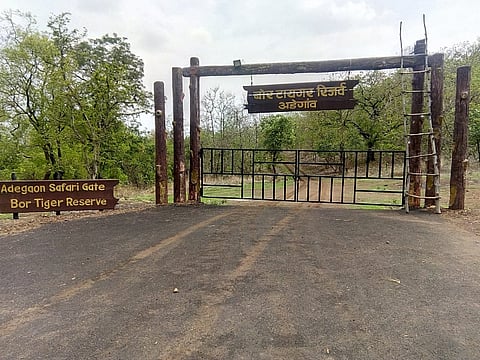 हिंगणाः तालुक्यातील बोर अभयारण्य