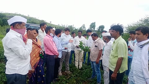 Former MLA Vaibhav Pichad inspected 15 villages in Akole taluka