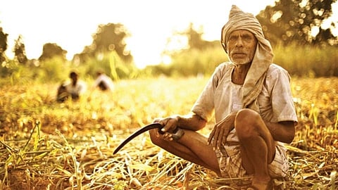 Billions of rupees lost to farmers due to market closure due to corona Nashik Marathi News
