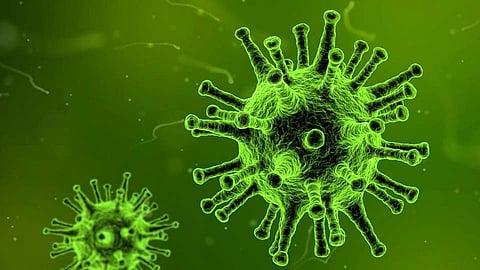 CoronaVirus : पिंपरी-चिंचवडमध्ये वाढले आणखीन रुग्ण; आता रुग्णांची संख्या झाली...
