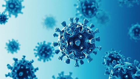 Satara Latest Marathi News