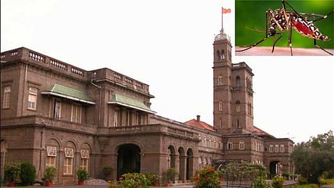 Dengue eradication and hygiene campaign at the University of Pune.jpg