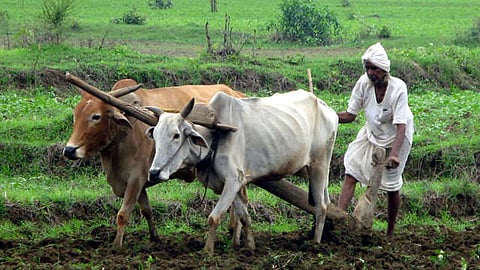 Representational image