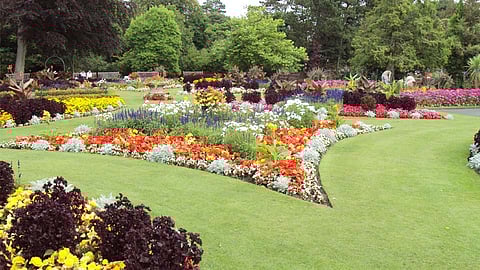 वाकडवासीयांनी उद्यान, मैदान अन् विरंगुळा केंद्रासाठी सुरू केलीय ही मोहिम