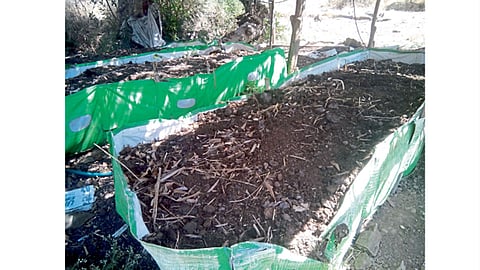 गांडूळ खतनिर्मिती