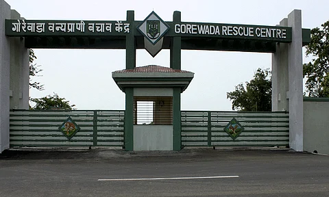 Inauguration of Balasaheb Thackeray Gorewada International Animal Park tomorrow