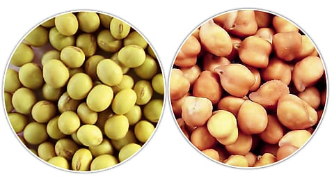 सोयाबीन, हरभऱ्यात मर्यादित भाववाढीचे संकेत