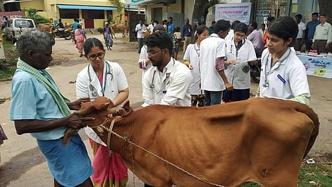 Changes in veterinary time for farmers in Yavatmal