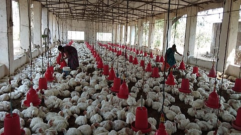 संग्रहित