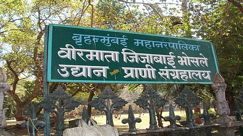 File Photo