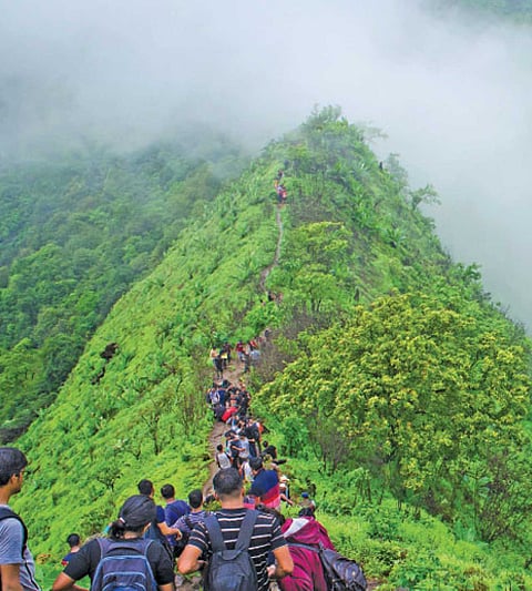 The month of June has come in a different discussion than every year