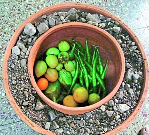 Let's protect ozone; Various action programs by "Nisargamitra"