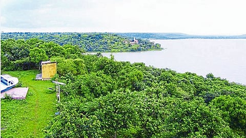 अकोला - काटेपूर्णा अभयारण्य
