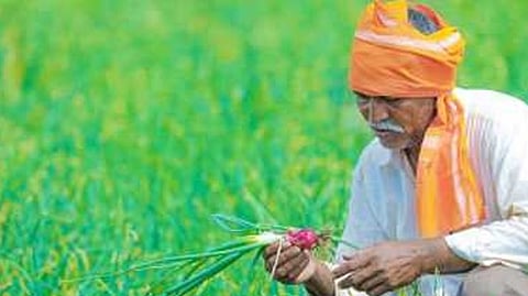 Agriculture news Kharif season crop of farmers