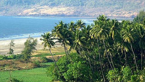 Editorial about environment and government