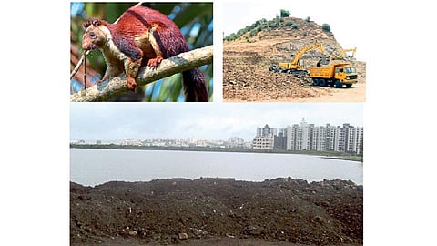 पर्यावरणपूरक प्रकल्पांची नांदी