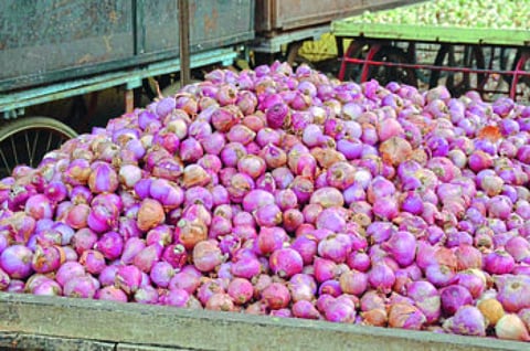 परभणीत खराब कांद्याला चांगला भाव मिळत आहे.