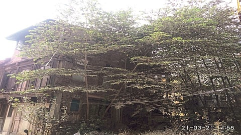 NSk old houses.jpg123.jpg