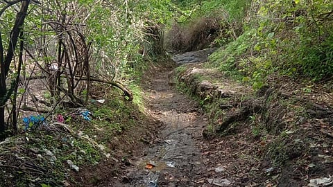 नाणे मावळातील पठारांवरील रहिवासी पायाभूत सुविधांपासून कोसोदूर; काय आहे सद्य:स्थिती जाणून घ्या