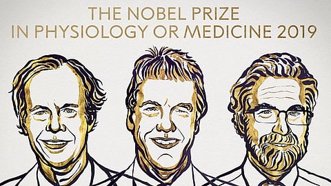 Nobel-Prize-2019-Medicine