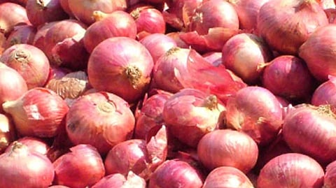 Onion purchase NAFED nashik