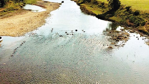 १ लाख हेक्टर क्षेत्र होणार कोरडवाहू