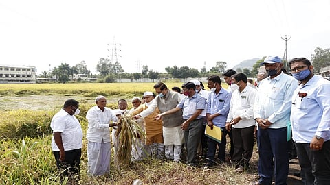 'महाविकास'ने आमच्या हिताचा निर्णय घ्यावा; शेतक-यांचे पृथ्वीराज चव्हाणांना साकडे