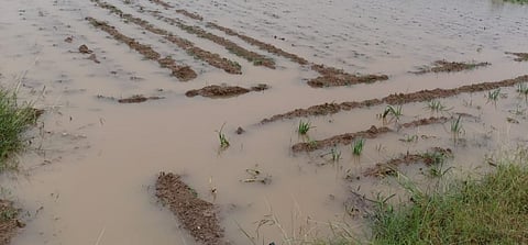 It rained heavily in the winter