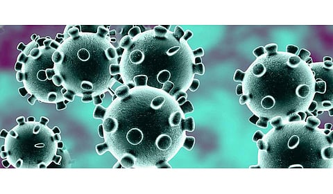 RTO Employee by Corona test report is negative