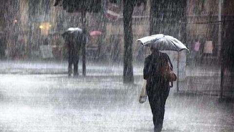 RainFall-Maharashtra