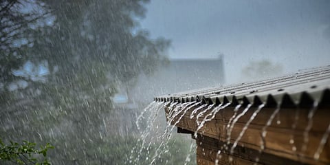 विदर्भ, मराठवाड्यात मेघगर्जनेसह पावसाची शक्यता