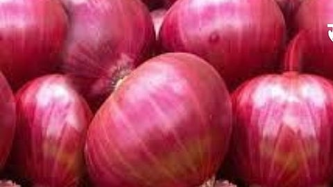Nashik Onion Price Fall: कांद्याचे भाव घसरल्याने शेतकऱ्यांची विक्रीसाठी धावपळ; मुंगसेमध्ये 19 हजार क्विंटल आवक