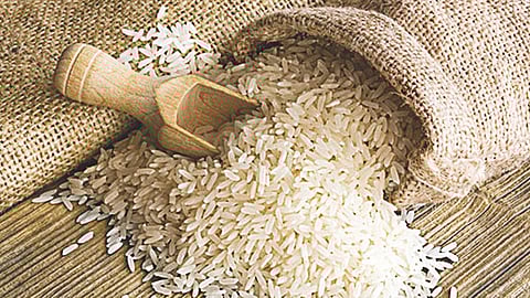 मोफत तांदूळाचे ई-पॉजद्वारे वाटप करा - अन्न व नागरी पुरवठा विभागाचे आदेश