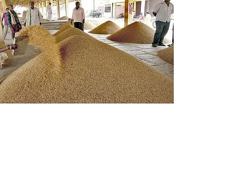 Restrictions have been lifted and now farmers should come forward to sell their produce