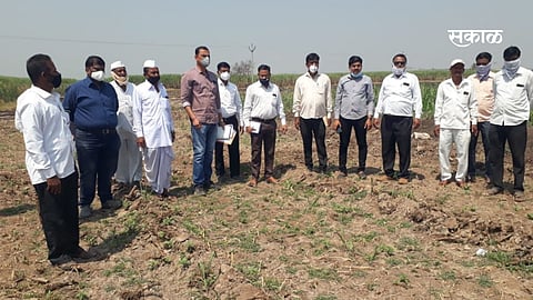 रांजणगाव सांडस : कांदा पिकावर फवारले तणनाशक; शेतकऱ्याचे लाखोंचे नुकसान