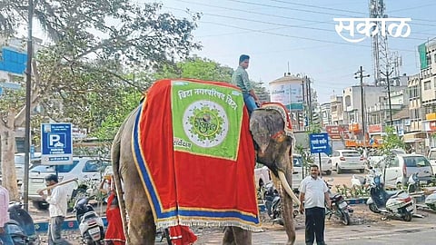 Hygiene awareness raising elephants in Vita city
