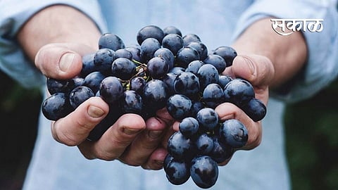 black grapes