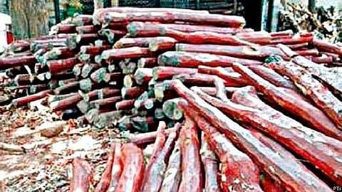 तब्बल साडेसात कोटींचे रक्तचंदन मुंबईतून जप्त