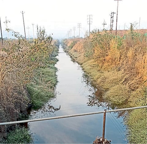 Takari Scheme started but not usable on farming