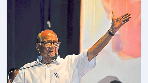 राष्ट्रवादी कॉंग्रेसचे राष्ट्रीय अध्यक्ष शरद पवार.