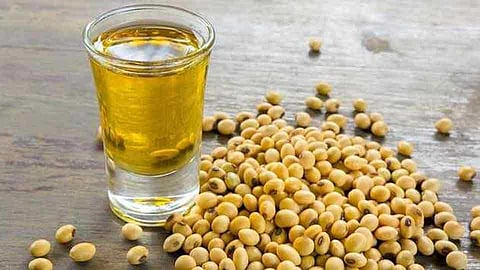 akola news Soybean varieties of six major companies, including Mahabeej, went uncertified