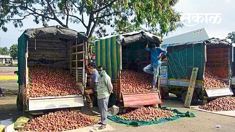 Summer onions arrived in the market Lasalgaoan Nashik