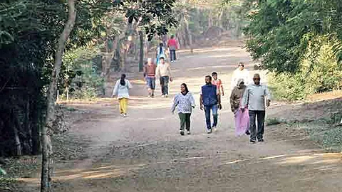 पुणे : तळजाई टेकडी बनतेय 'कपल पॉईंट'